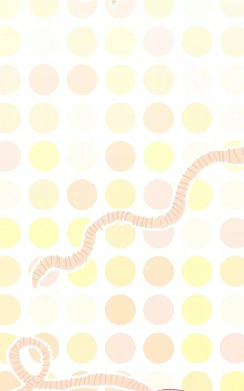 5cbb2e1c5dbe