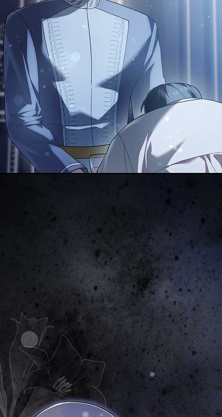 ch 41 102