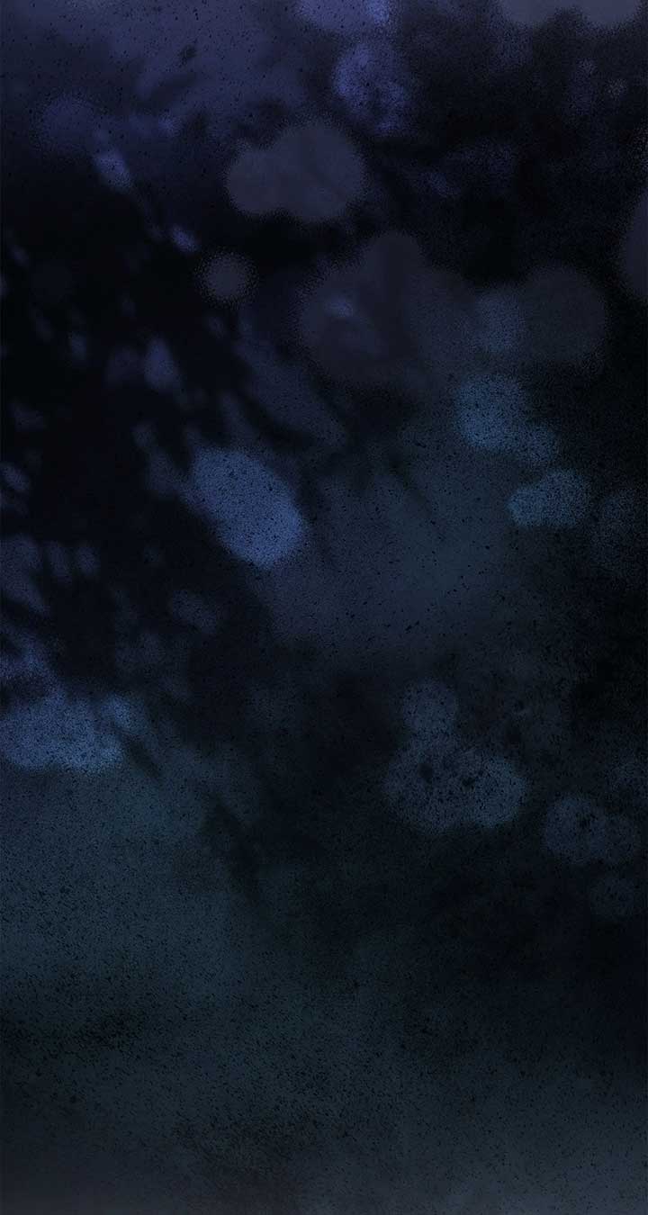 ch 41 95