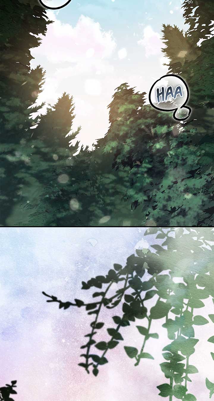 ch 50 60