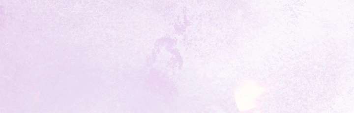 081