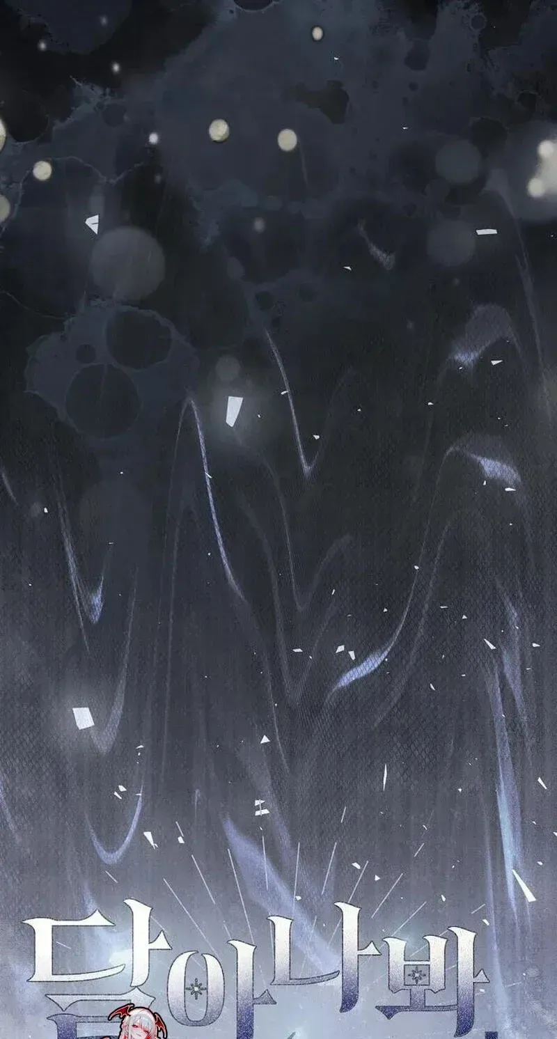 1a6c23d4511b