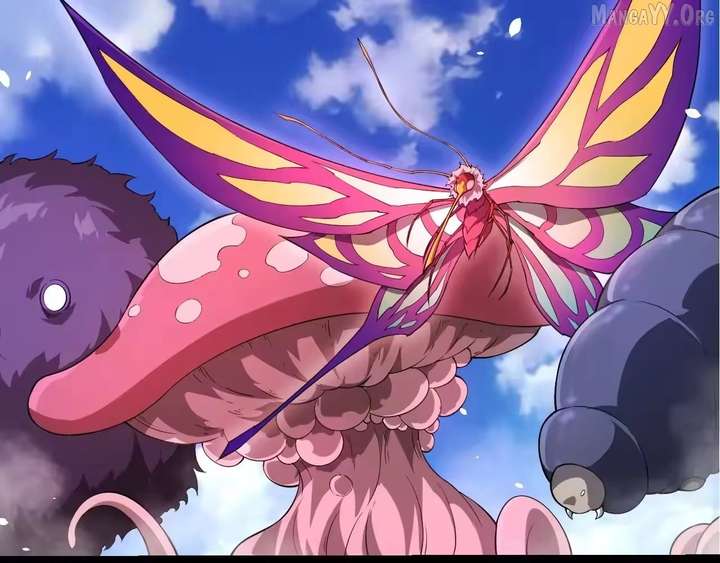 14 (58)