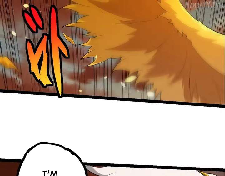ch 500 65
