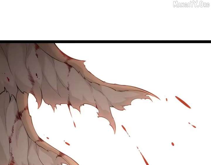 ch 504 81