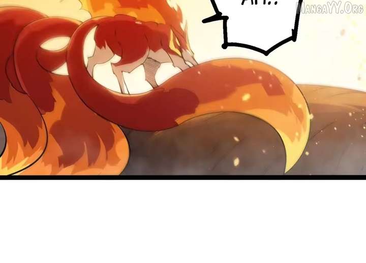 ch 509 60