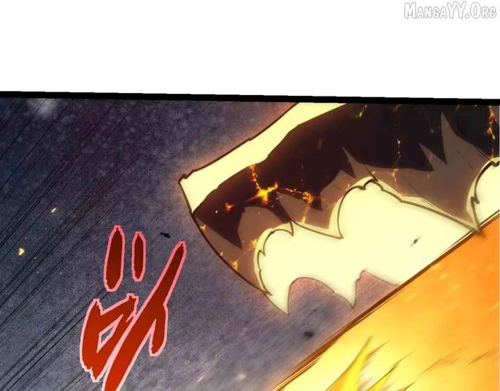 ch 510 81