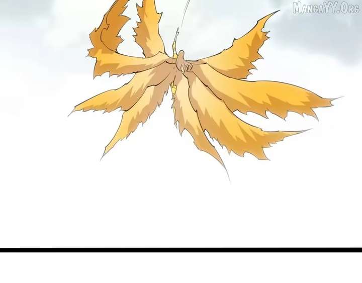 ch 511 75
