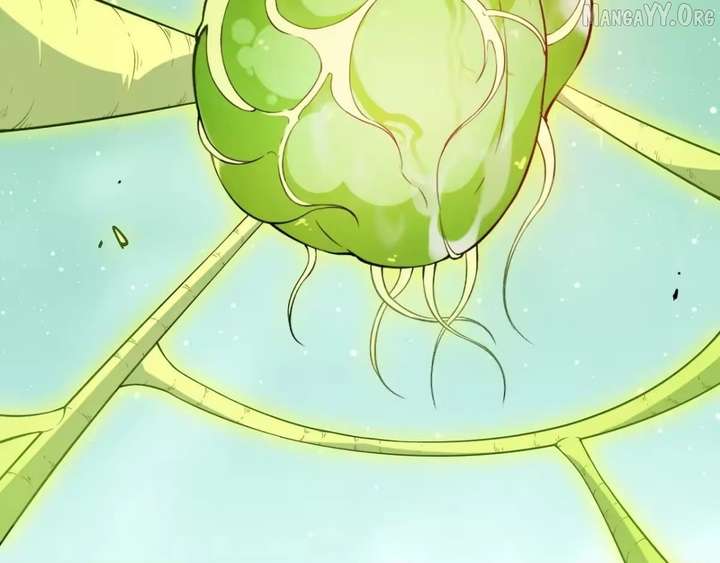 ch 511 88