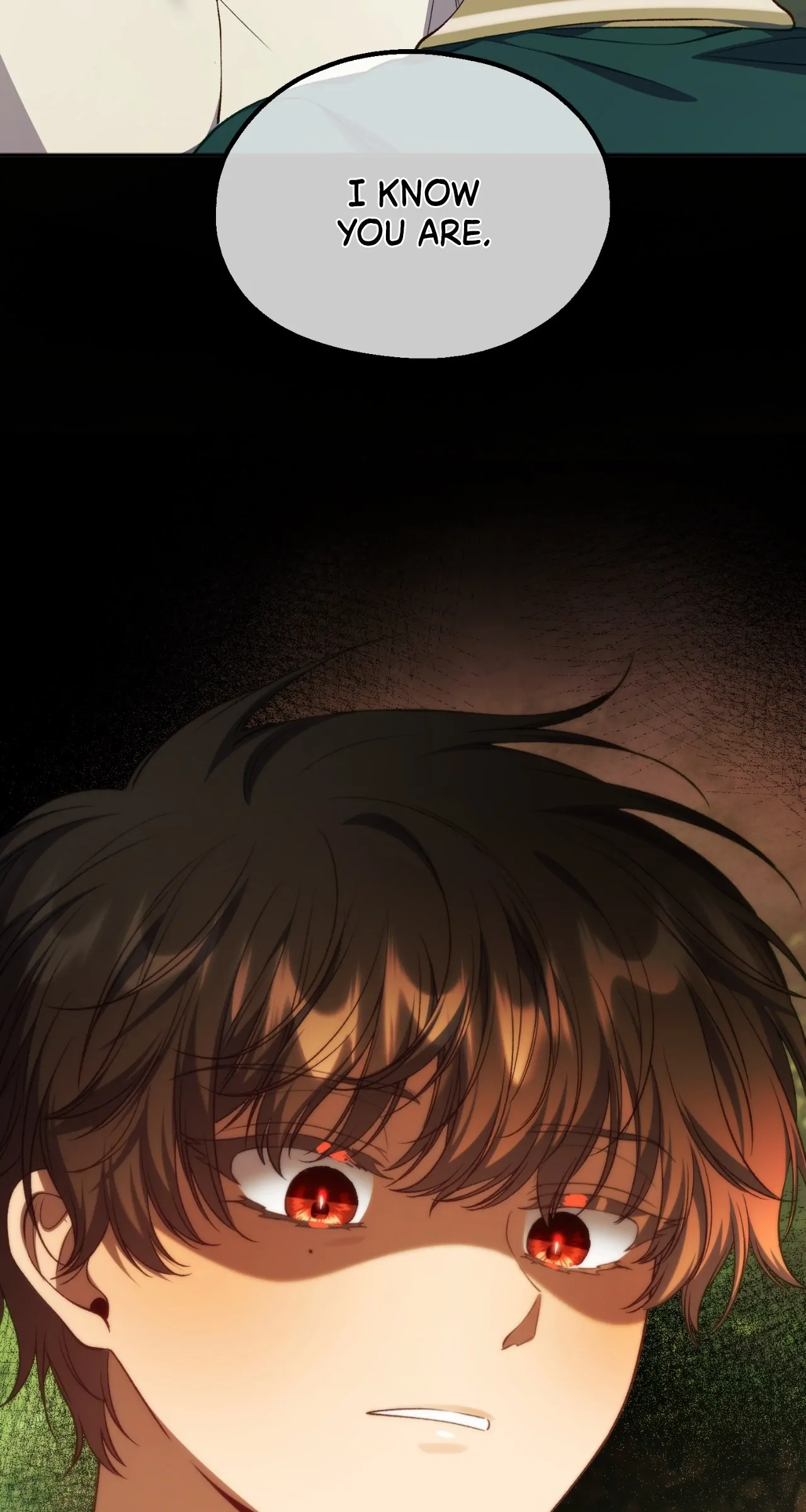 I Thought I Tamed the Villain Chapter 31 351 032