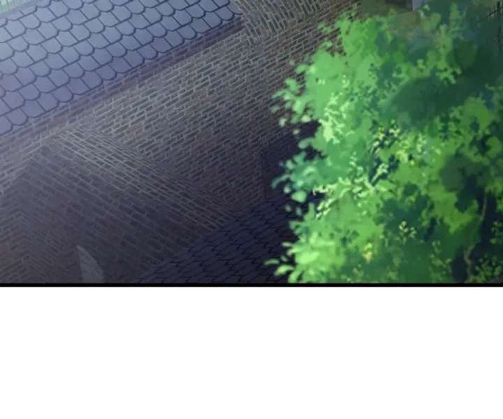 ch 206 86