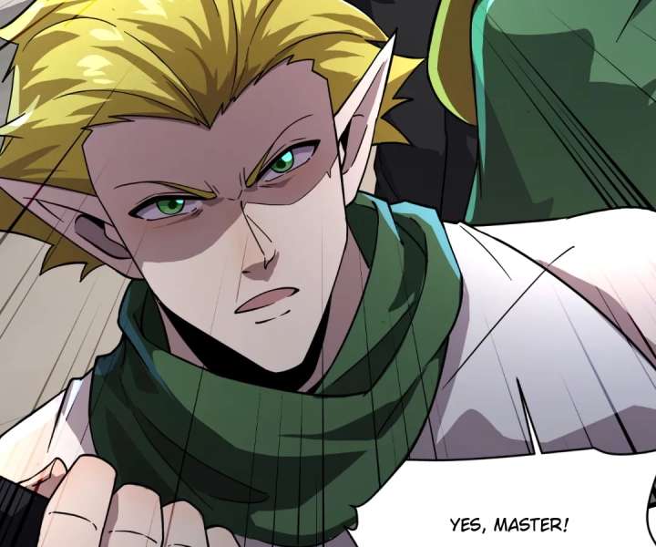 The Lone SSS-Class Summoner Chapter 209 379 ch 209 55