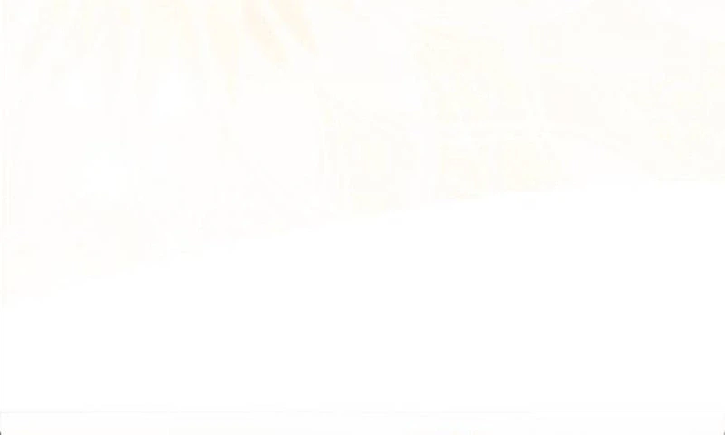 f10dc52a5e64 26 webp
