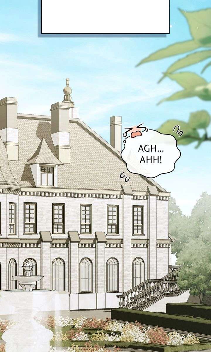 ch 91 25