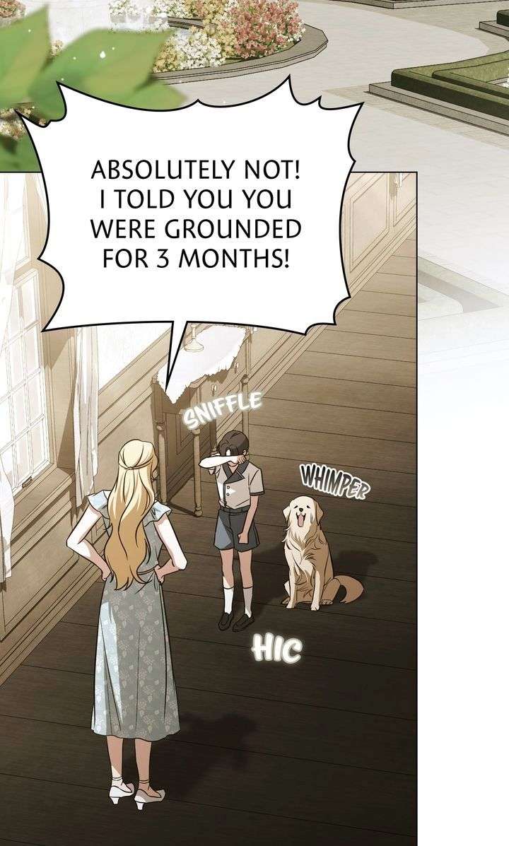 ch 91 26