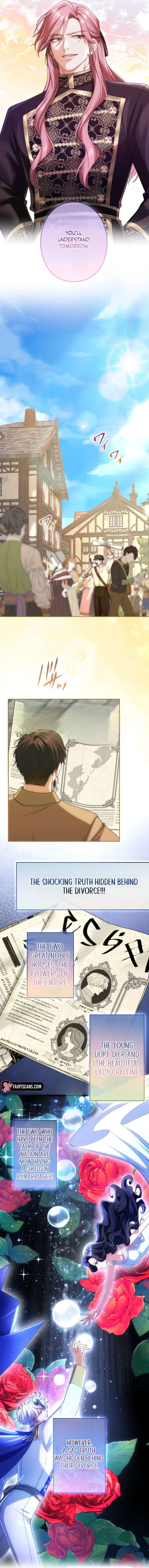 ch 102 11
