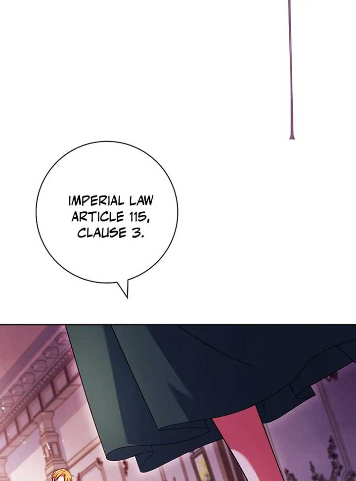 Leave the Divorce to a Professional Lawyer Chapter 22 622 078