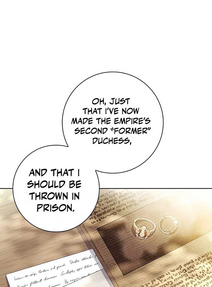 Leave the Divorce to a Professional Lawyer Chapter 23 393 008