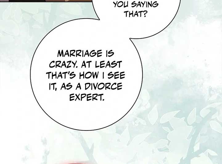 Leave the Divorce to a Professional Lawyer Chapter 23 448 063