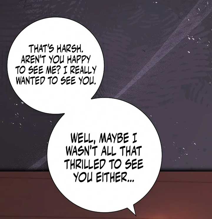 Leave the Divorce to a Professional Lawyer Chapter 25 544 060