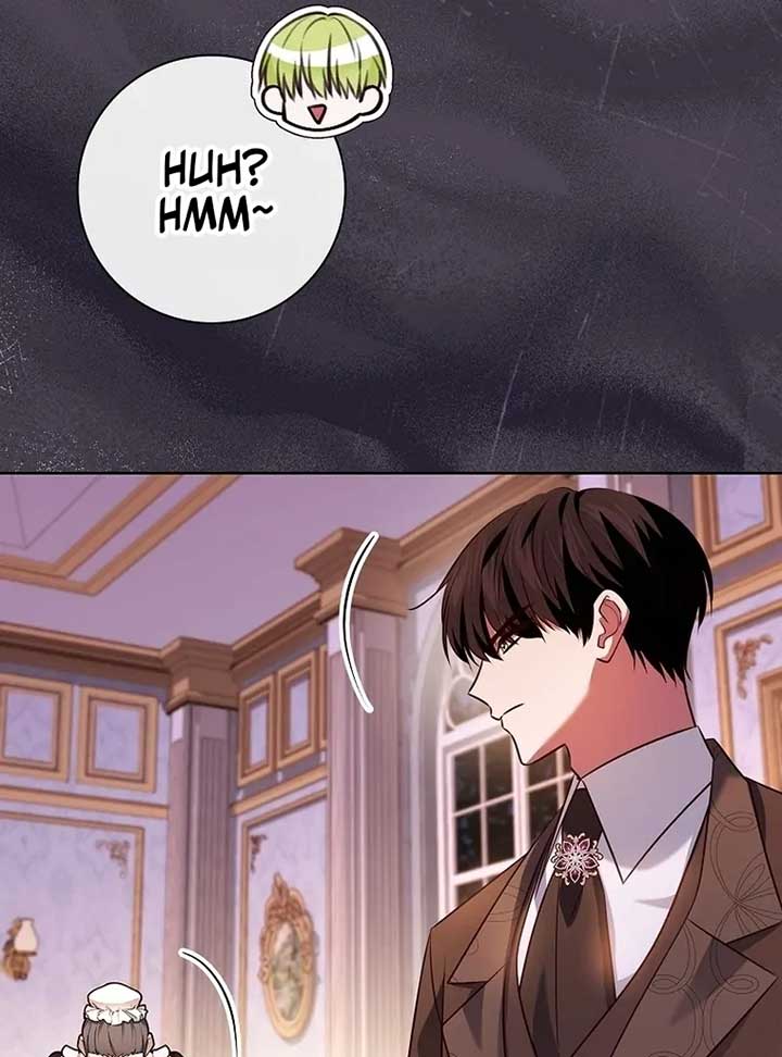 Leave the Divorce to a Professional Lawyer Chapter 25 554 070
