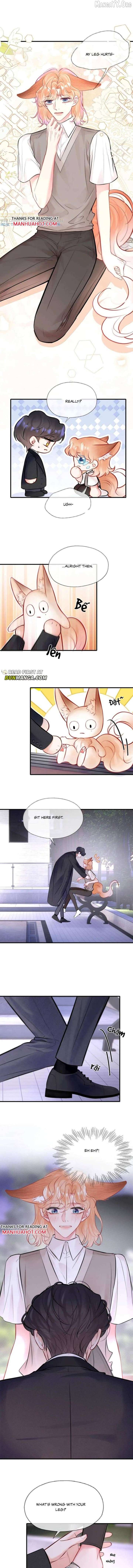 ch 66 5