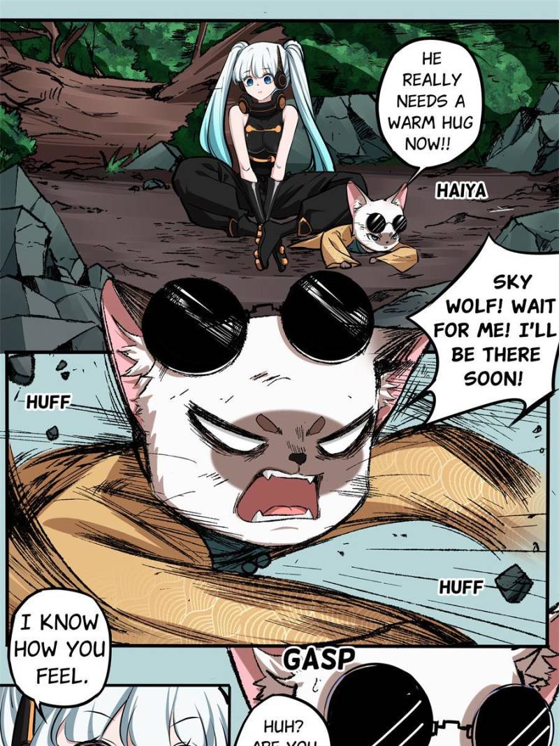43