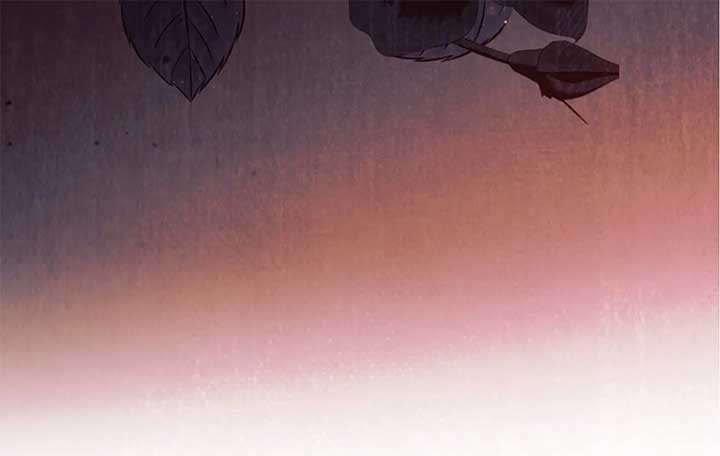 244