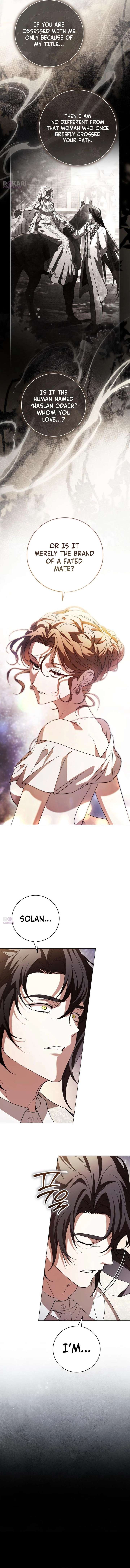 ch 81 3