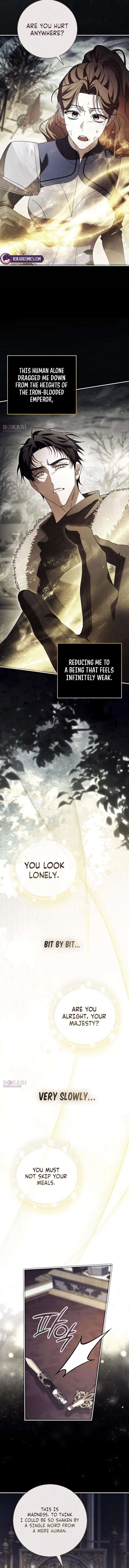 ch 81 8