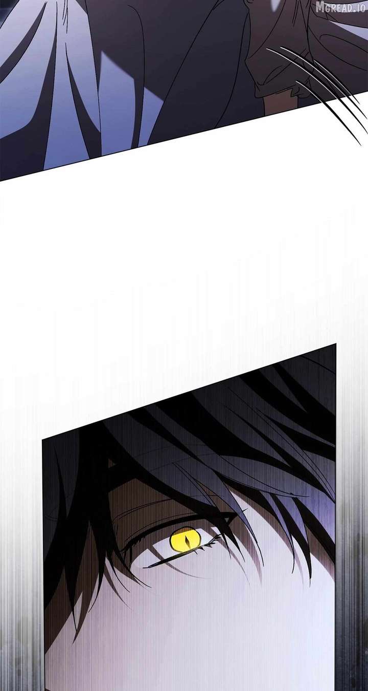 ch 85 50