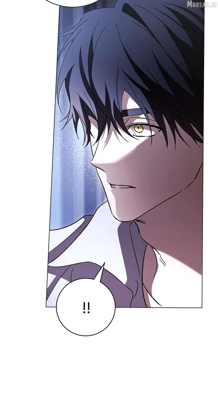 ch 85 55