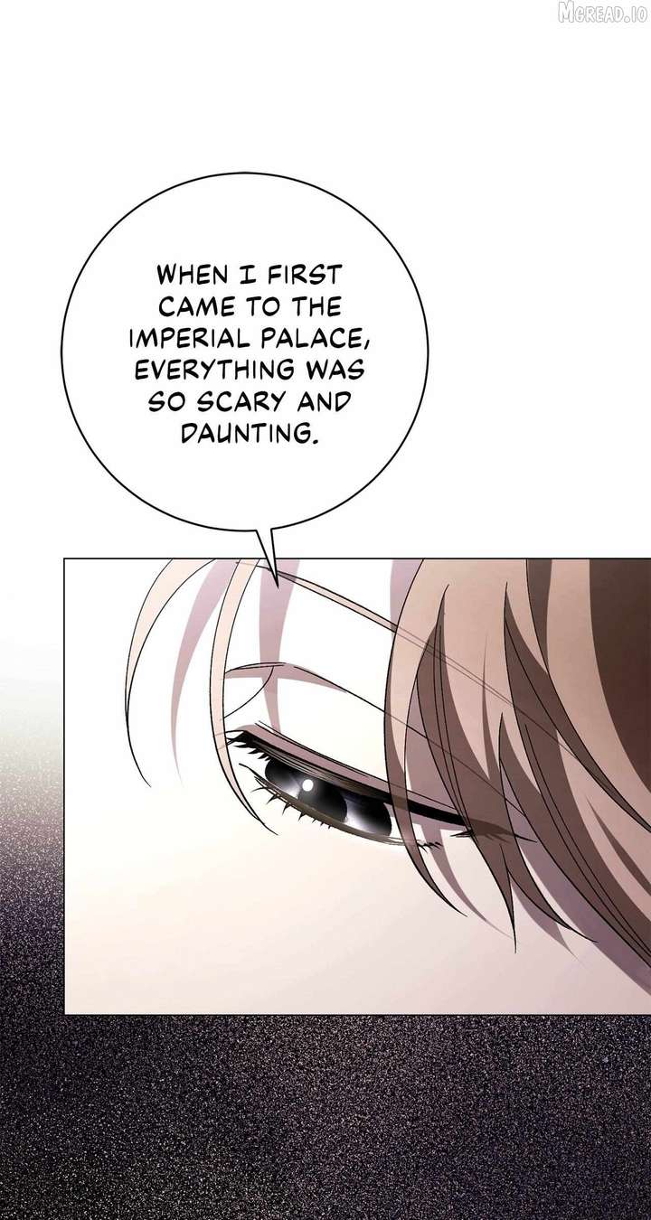 ch 85 66