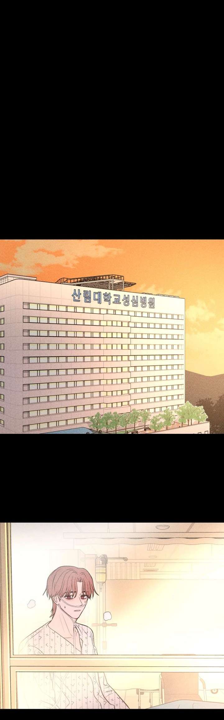 ch 74 29