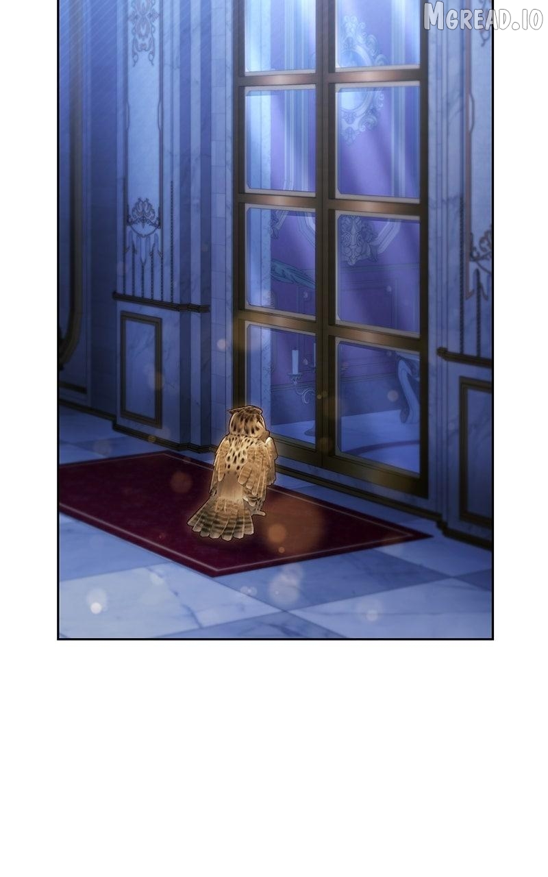 I Was The Acting Empress But I Spent The First Night With Him Chapter 63 359 037