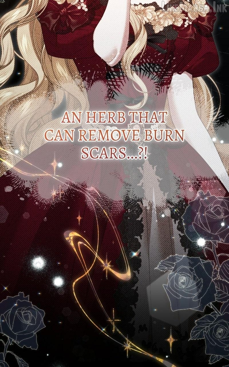I Was The Acting Empress But I Spent The First Night With Him Chapter 64 388 039
