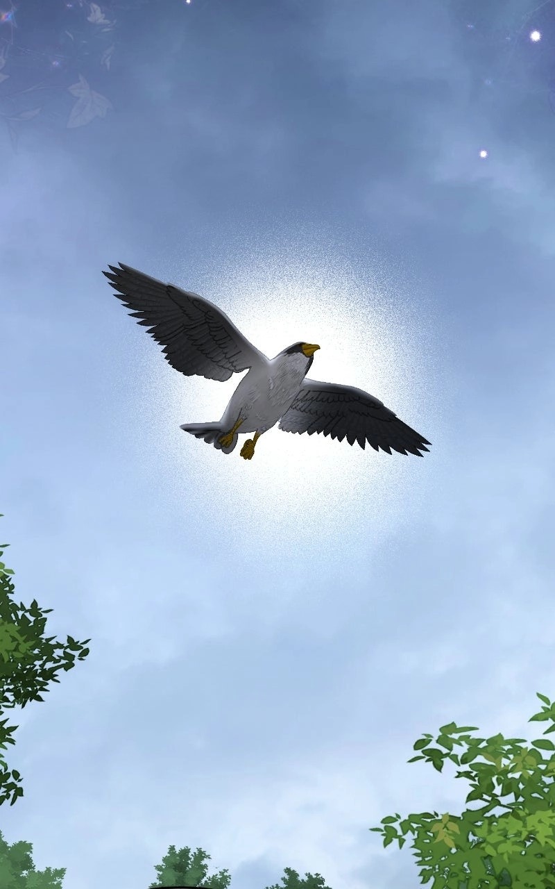 d49a817d56f9 47