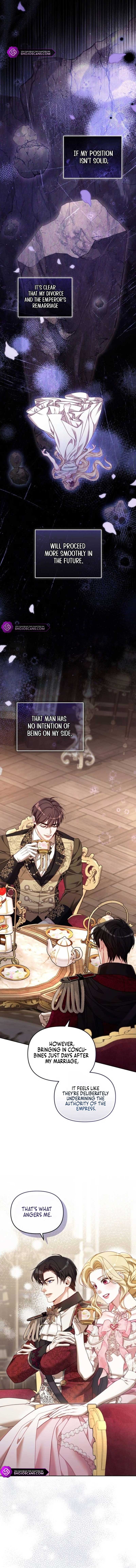 I Was The Acting Empress But I Spent The First Night With Him Chapter 9 74 9