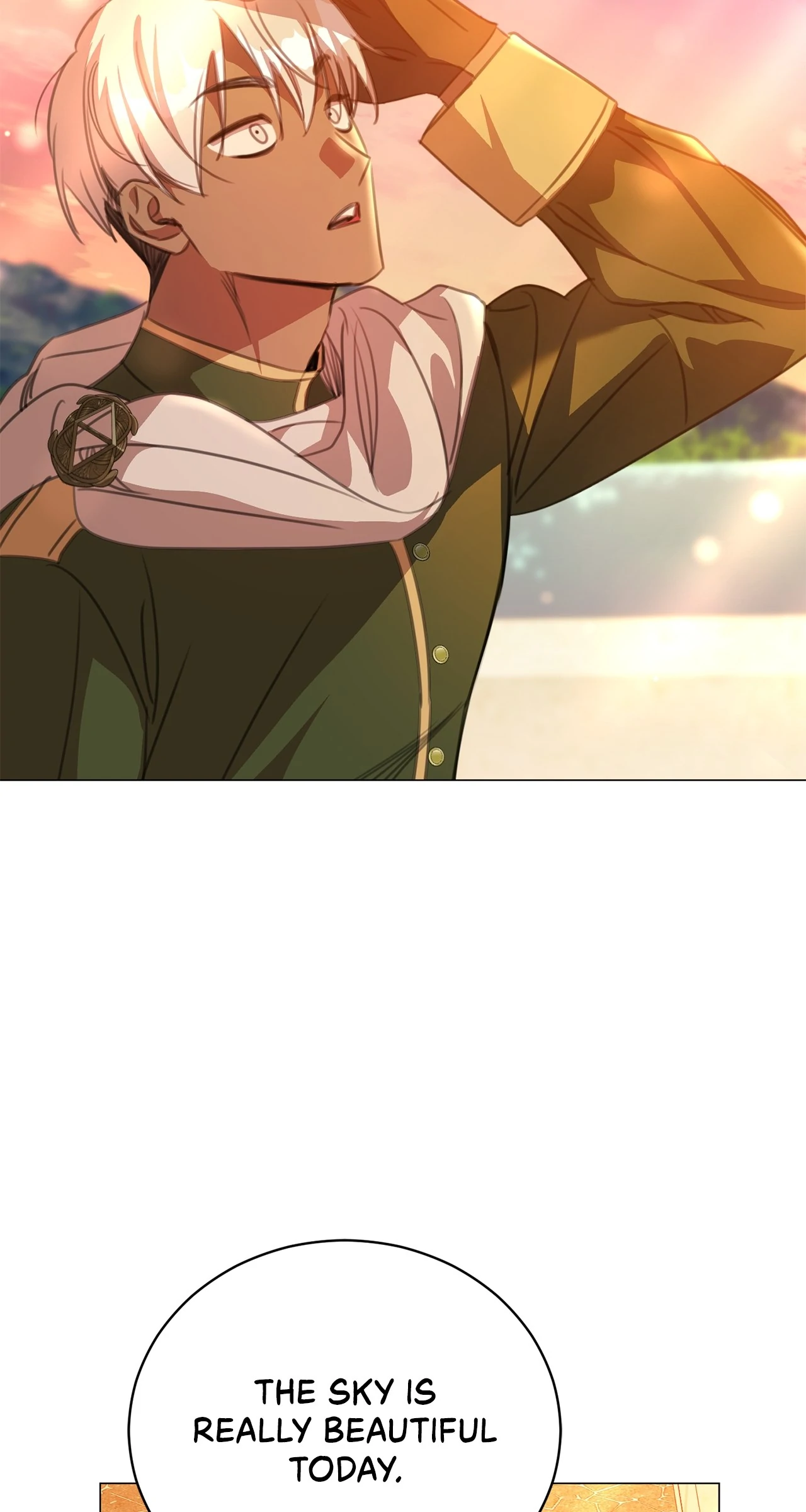 How to Choose Your Knight Chapter 22 384 053