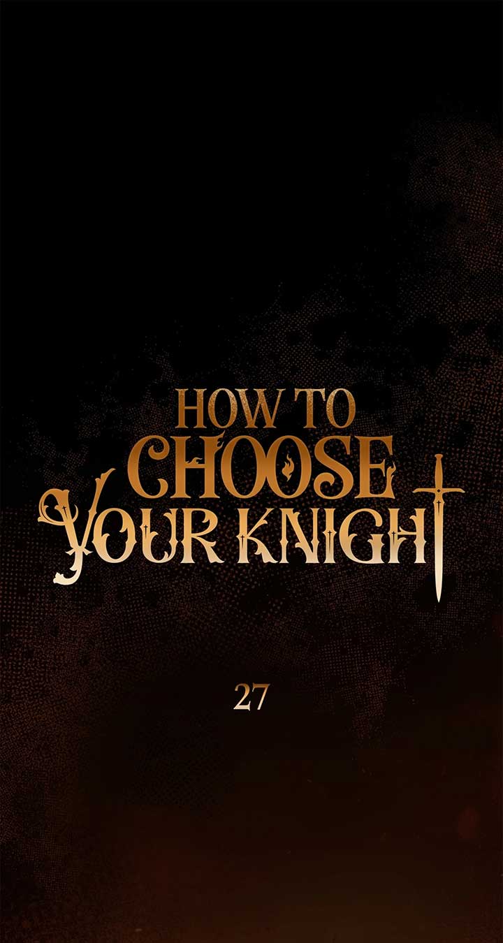 How to Choose Your Knight Chapter 27 380 052