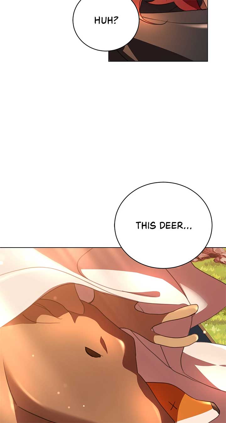 How to Choose Your Knight Chapter 34 464 103