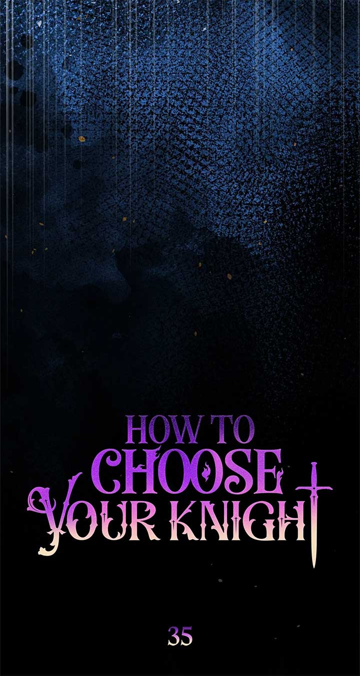 How to Choose Your Knight Chapter 35 352 042