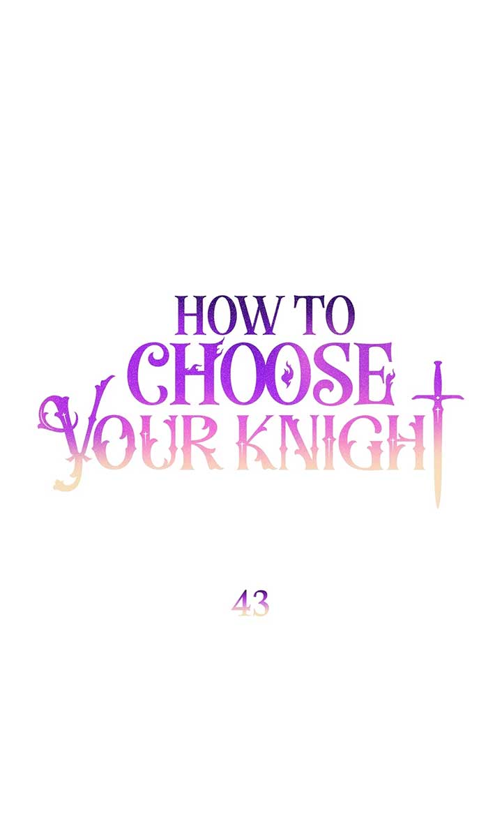How to Choose Your Knight Chapter 43 293 07