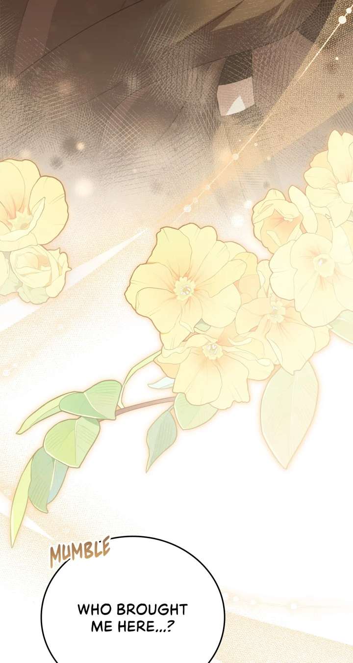 How to Choose Your Knight Chapter 53 428 085