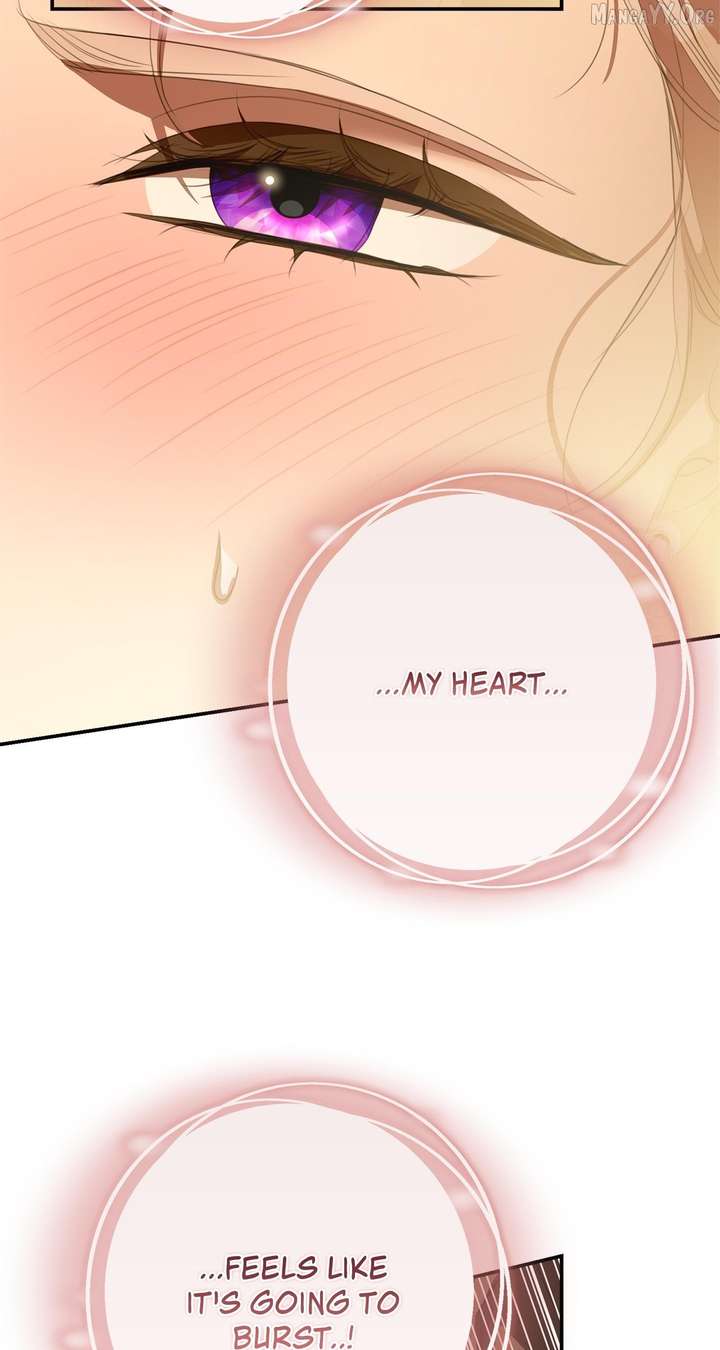 How to Choose Your Knight Chapter 66 384 ch 66 81