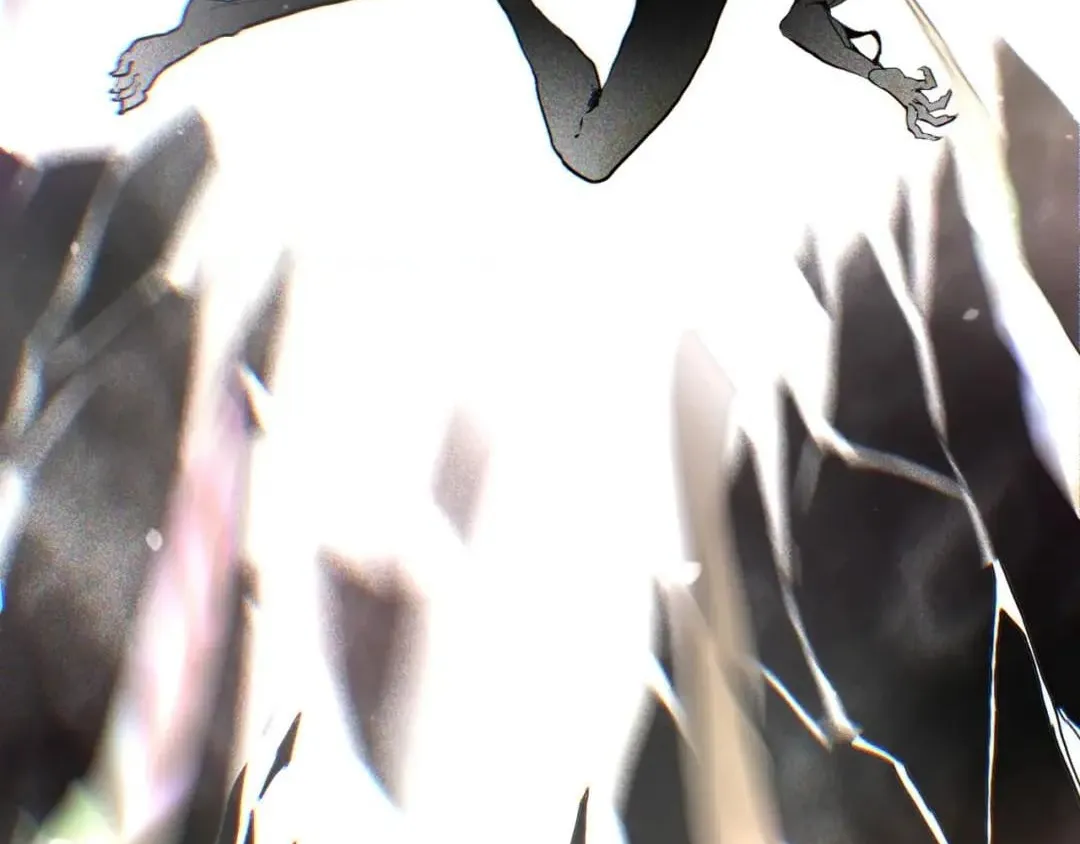 b3d06f9244b5