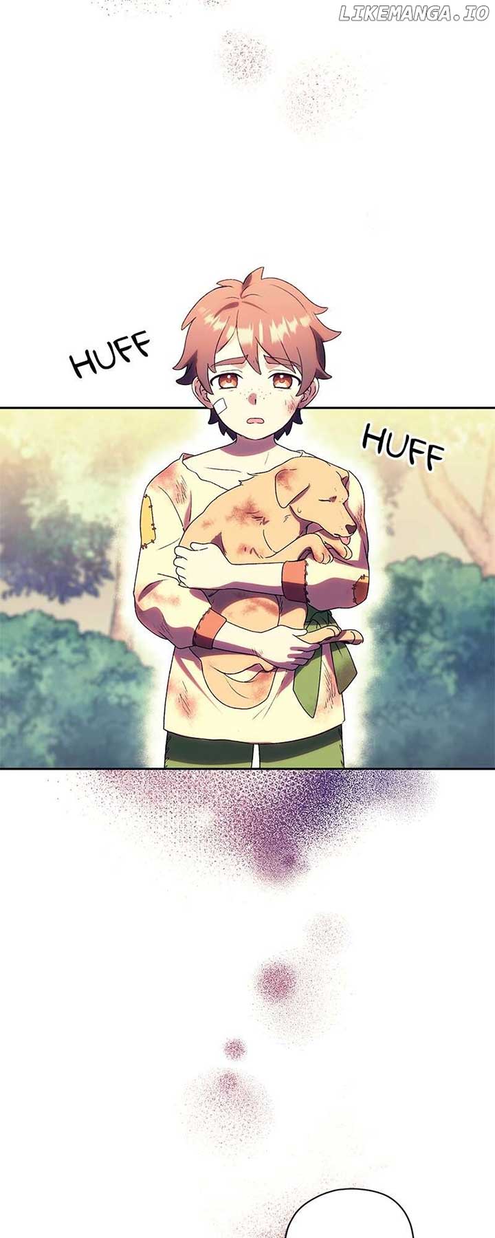 41