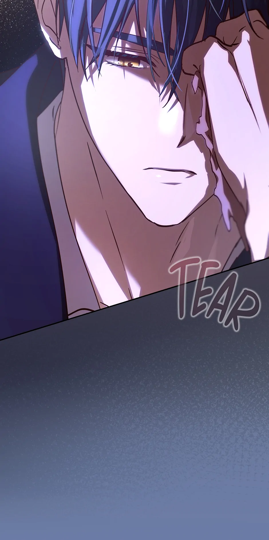 Since I Don’t Remember Anything About It, Shall We Break Up, Your Majesty? Chapter 40 244 24