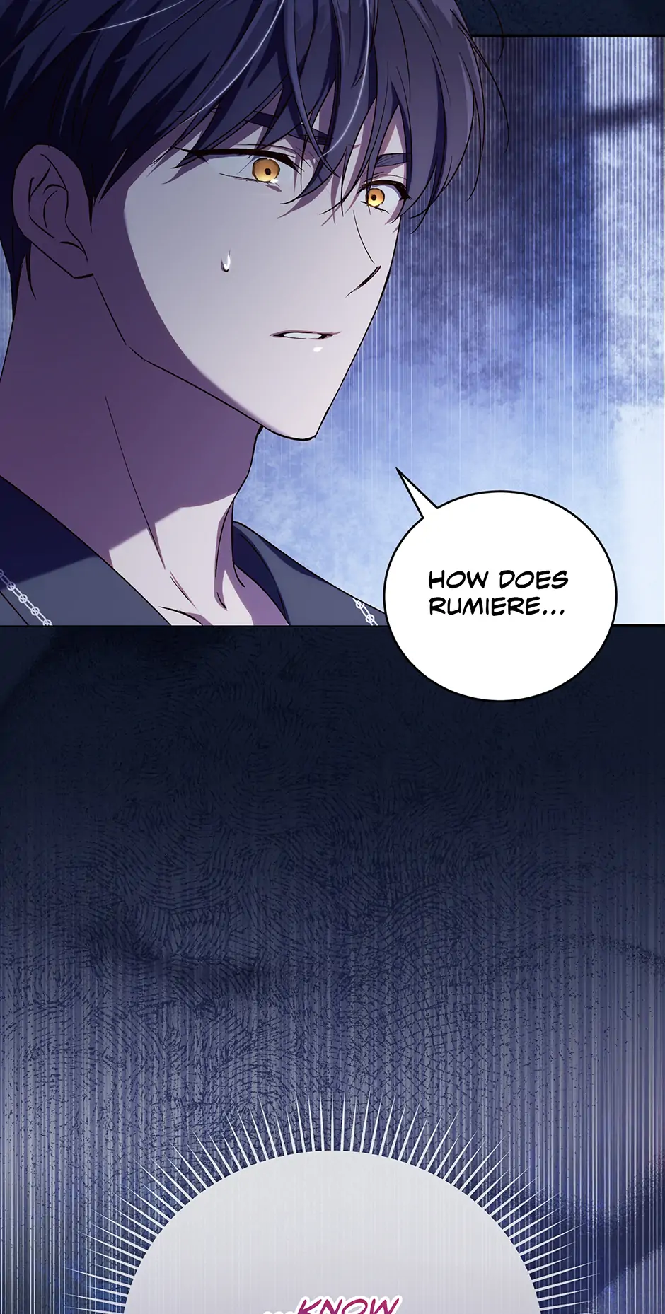 Since I Don’t Remember Anything About It, Shall We Break Up, Your Majesty? Chapter 40 289 69