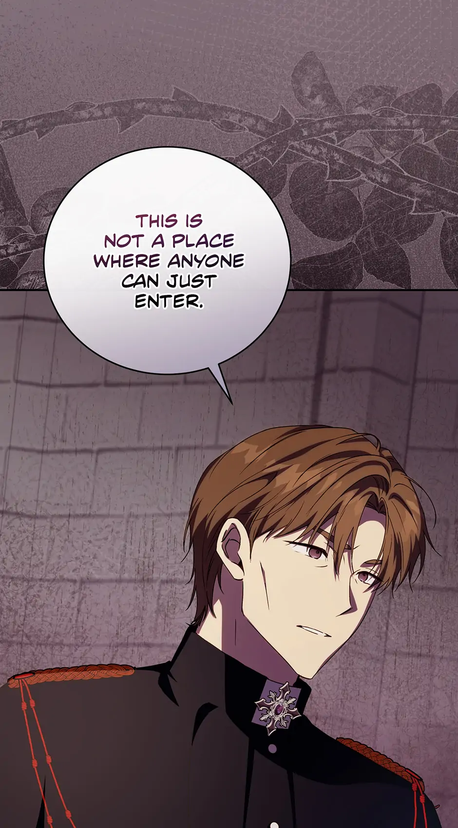 Since I Don’t Remember Anything About It, Shall We Break Up, Your Majesty? Chapter 41 268 18